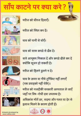 Leaflet Facts about Snake Bite Hindi – RADHEE Disaster And Education